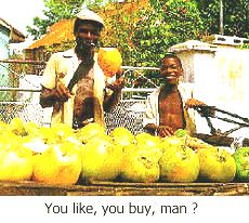 coconut_vendors_s.gif (42918 bytes)