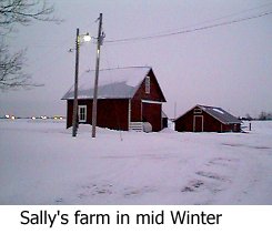 sallyfarm.jpg (12142 bytes)