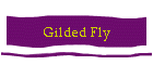 Gilded Fly