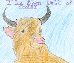 Brown Bull by Hannah