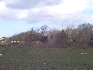 Ardfry Castle