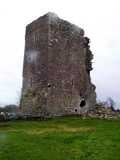 Mannin Castle