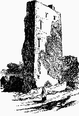 Tullokyne Castle