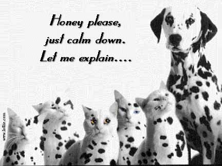 Pongo's been a naughty boy!!!!