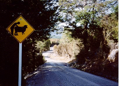 Road Sign