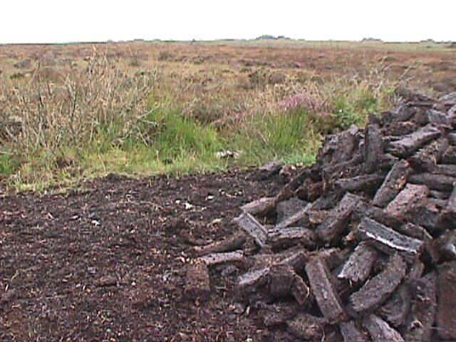 Bogland - East Galway