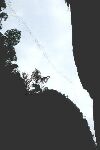 Bat streams