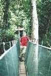 Canopy walk