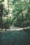 Dry riverbed