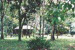 Proboscis Resort