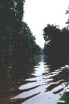 On the river