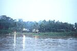 Borneo