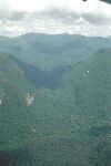 Borneo rainforest