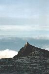 From the summit