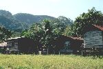 Tribal village