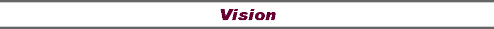 Vision