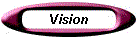 Vision