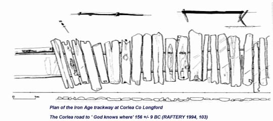 Trackway at Corlea, Co Longford