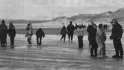 Watching the seal release on Maghera Beach.