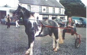 Patrick Billingsly with his three year old stallion, Dan