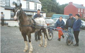 L.to R. - "Paul Coughlan, Inver, Carolyn Gallagher (nee White), Ardara, John Friel, Inver, Finnula Coughlan, Inver, and ten year old, four-footed Banner waiting to get started