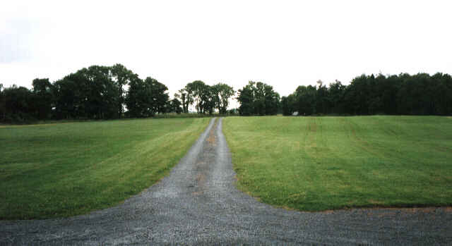 view of front lawn