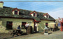 Natterjacks