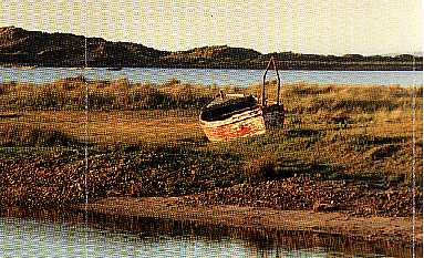 The Boat