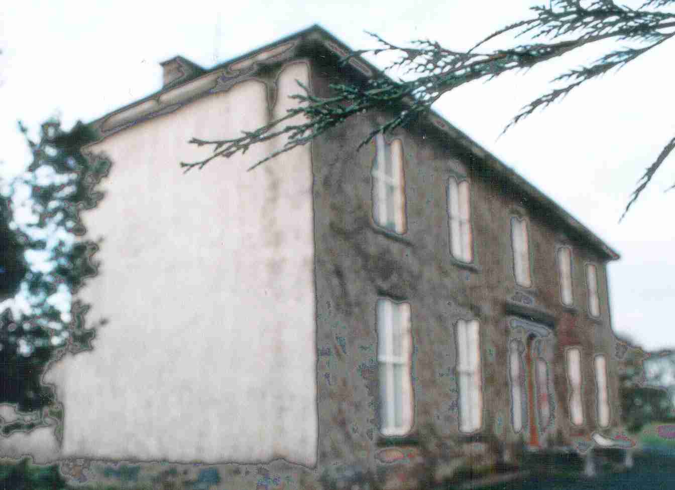 Birchgrove.jpg (43237 bytes)