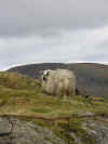 donegal06.jpg (41096 bytes)