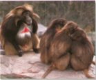 Social gathering