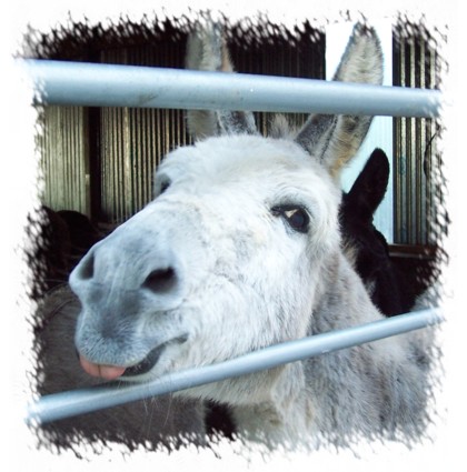 Please have a look at our new website