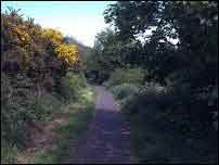 Continue along the path