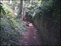 A long narrow path