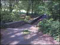 The path has a few turns and steps