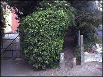Narrow path to the right of pink house