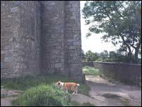 Castle