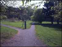 Fork in the road with a small pillar in the middle