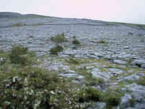 The Burren