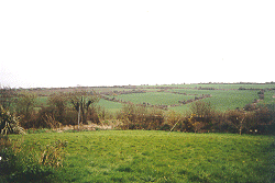 View Looking South