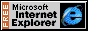 Internet Explorer Logo