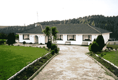 Photo of Forest View