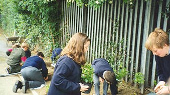 pupils do some gardening