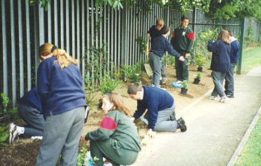 pupils do some gardening