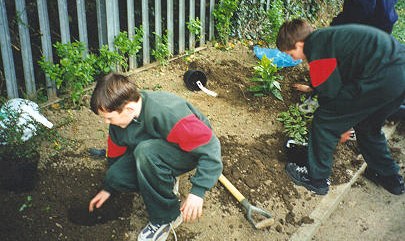 pupils do some gardening