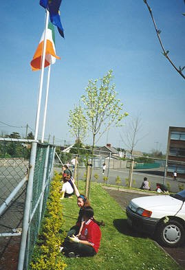 pupils gardening