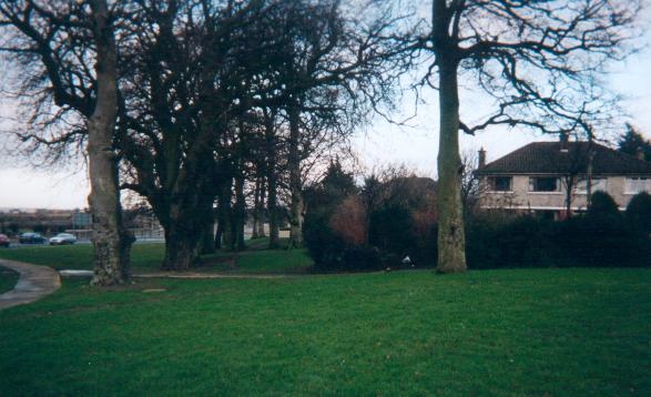 Beechwood Lawns