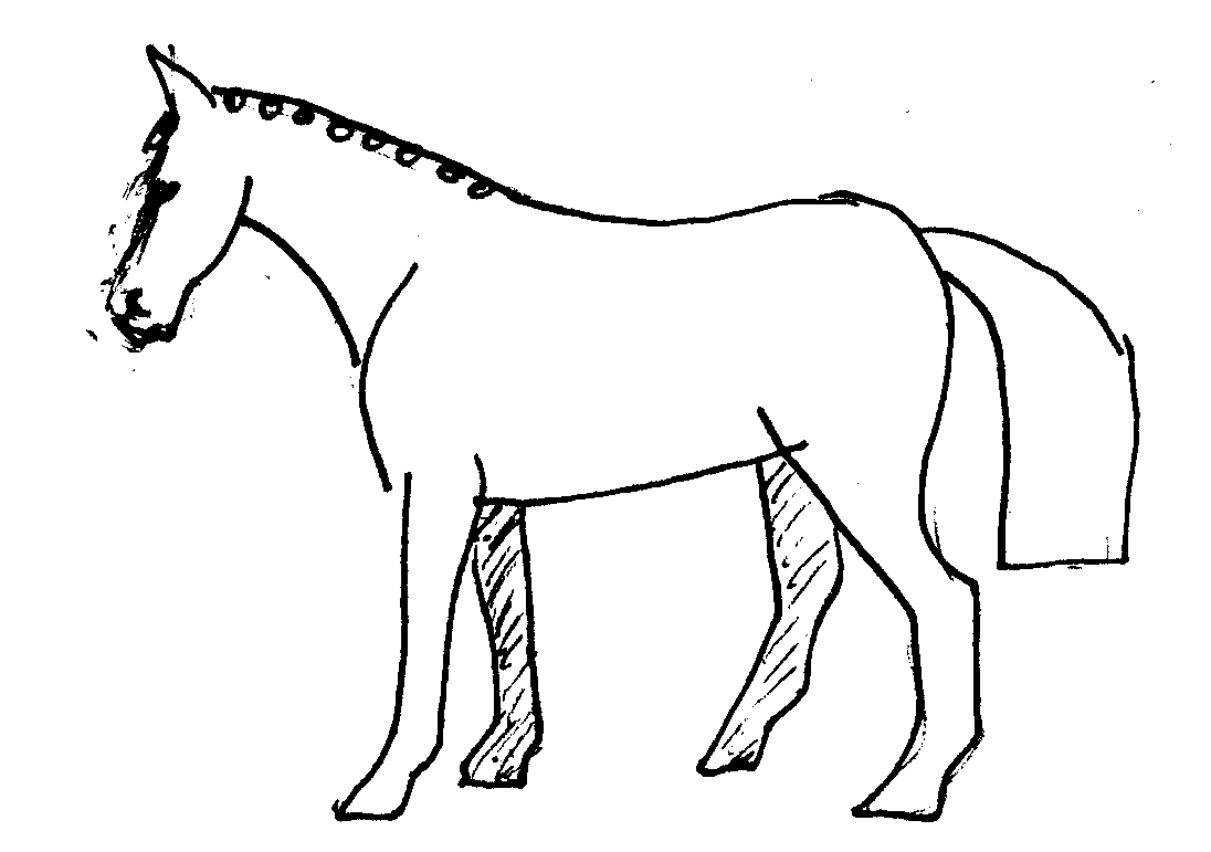 wpe88977.gif (15051 bytes)