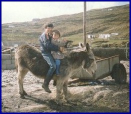 Children playing with the donkey