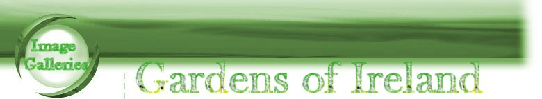 Welcome to Gardens of Ireland Image Galleries